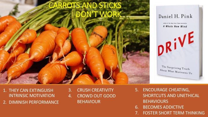 carrot Dan. H Pink Driveworkshop