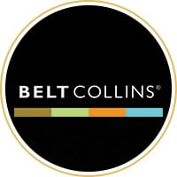 logo beltcolins Strategy planning