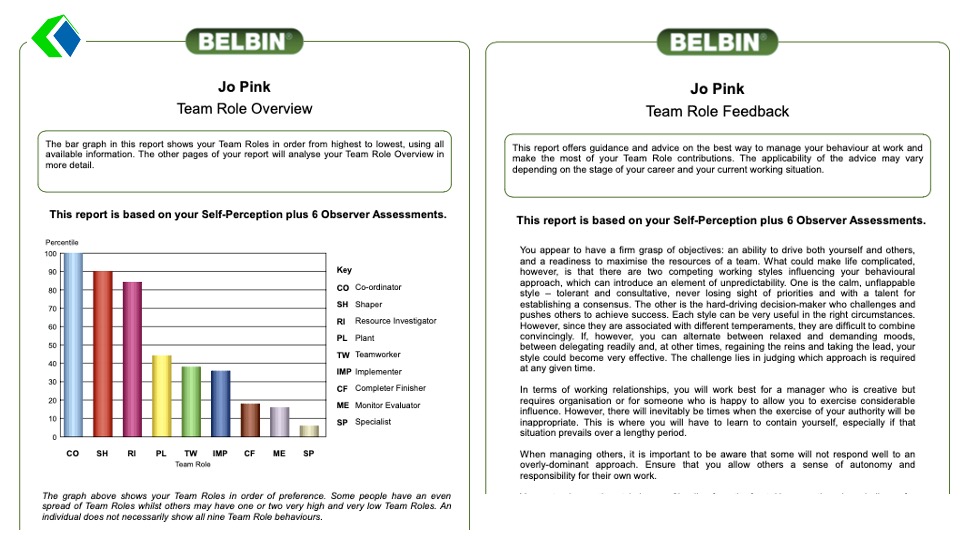 Belbin Team Roles Singapore